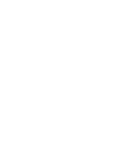 Pet Place