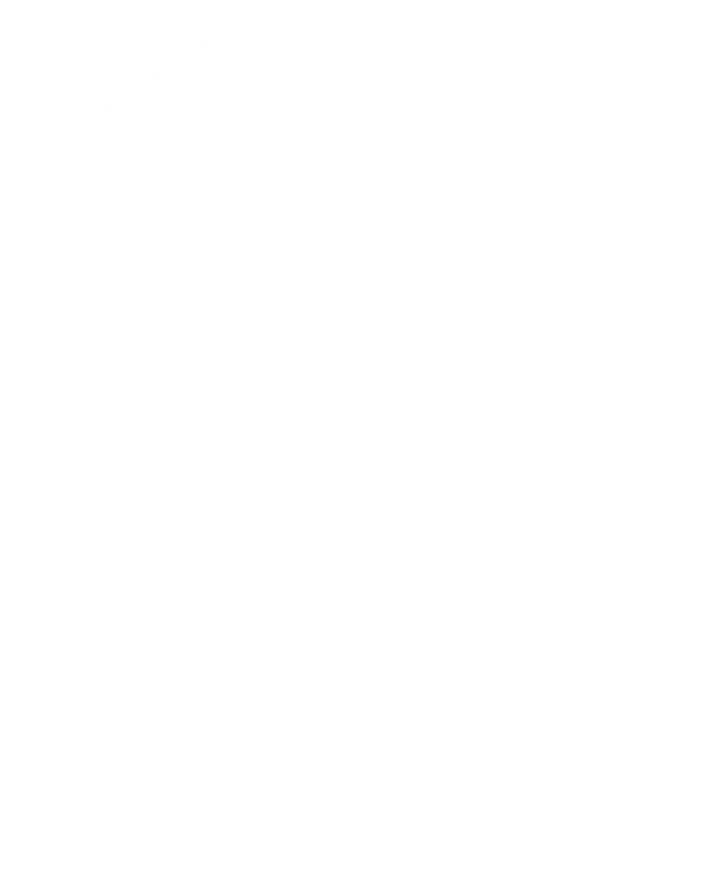 Churrasqueira